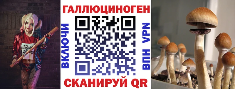 Псилоцибиновые грибы GOLDEN TEACHER  наркотики  Могоча 